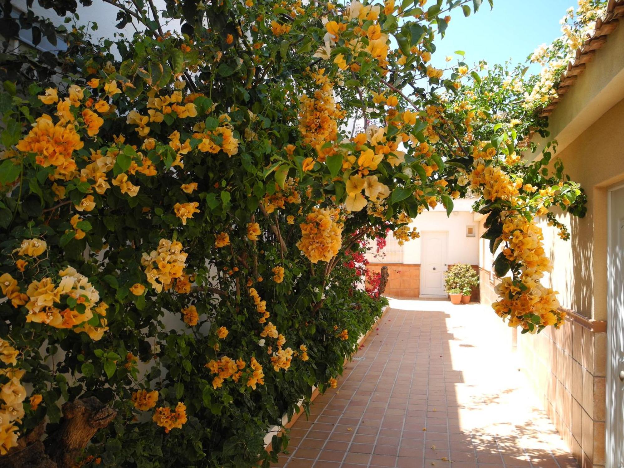 Hostal Playa Punta Umbria Bagian luar foto